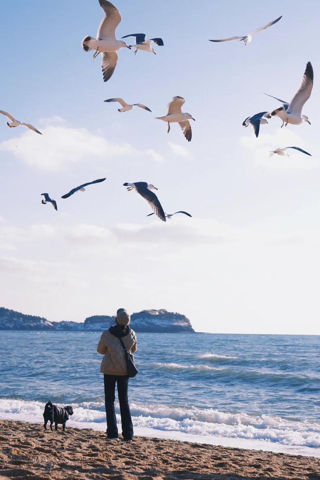 业旅行攻略大连4日游线路这样安排超赞!j9九游会(中国)网站大连4天3晚毕(图2) 业旅行攻略大连4日游线路这样安排超赞!j9九游会(中国)网站大连4天3晚毕(图2)