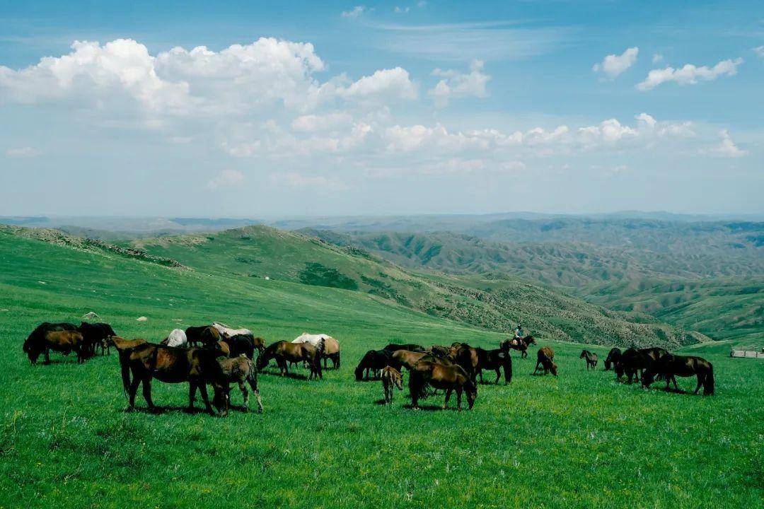 急着对答案!先来内蒙古奔赴山与河j9九游会真人游戏第一考完了别(图4) 急着对答案!先来内蒙古奔赴山与河j9九游会真人游戏第一考完了别(图4)